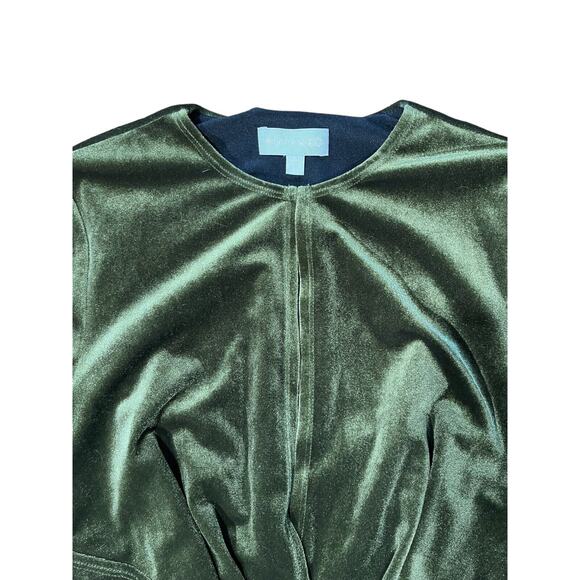 Ronny Kobo Valkyrie Dress In Junifer Olive Green High Slit Maxi Velvet Size XS - Picture 8 of 10